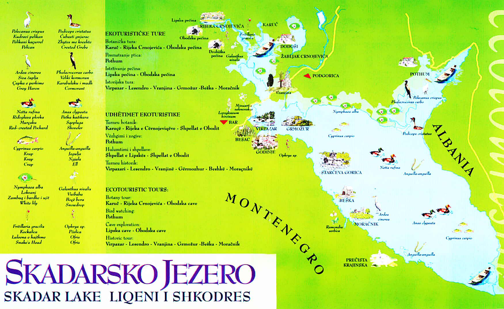 skadarsko jezero karta Čudo prirode skadarsko jezero karta